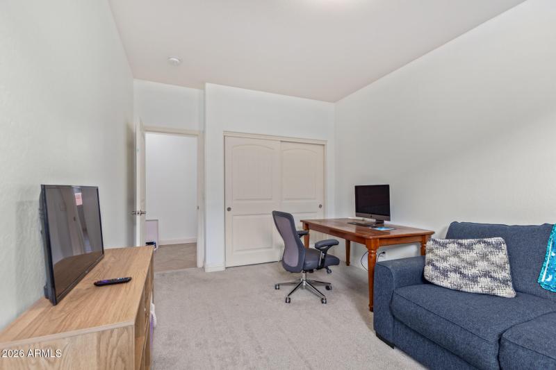 33 - Eucalyptus 1317