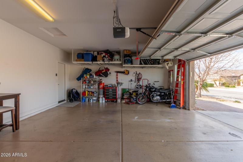 42 - Eucalyptus 1317