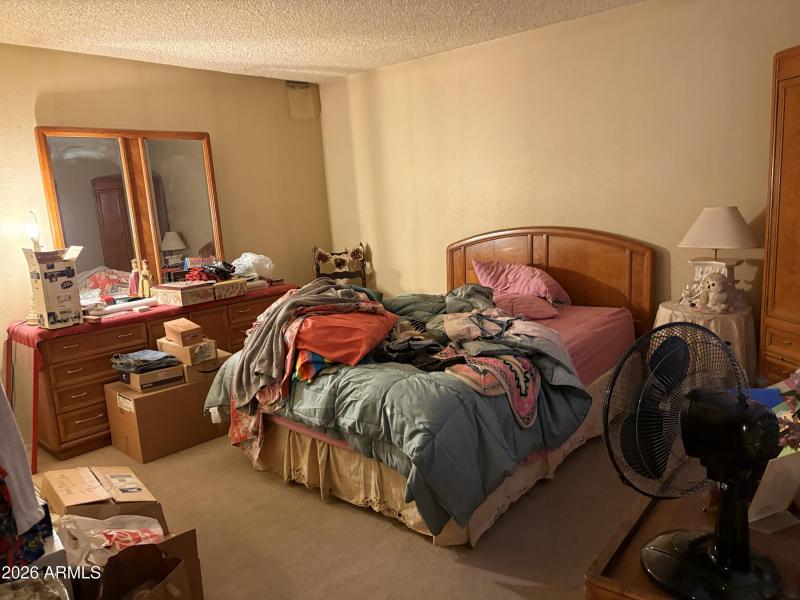 Primary bedroom_1007 E. Village Cir