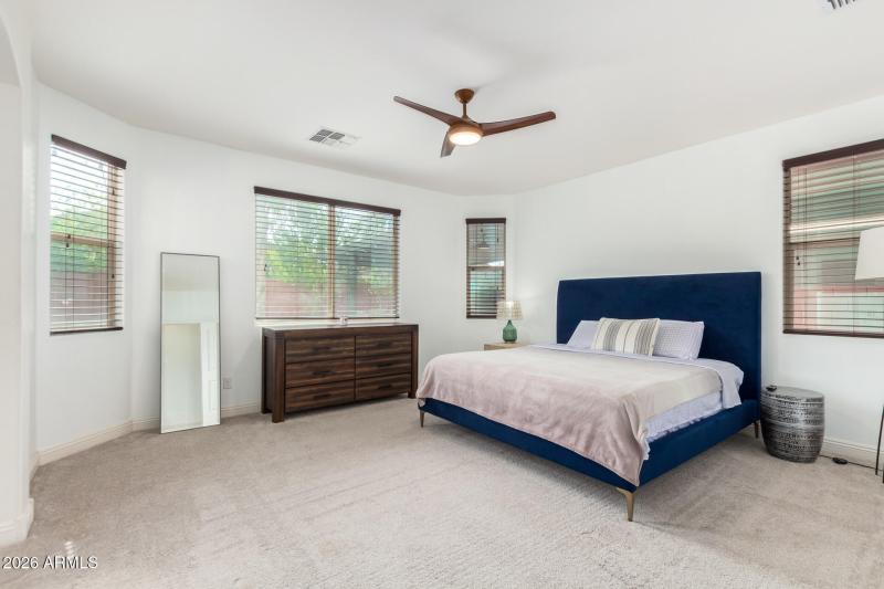 18 - Eucalyptus 1317