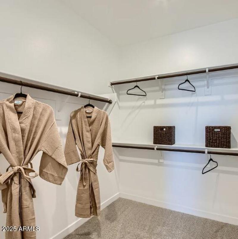 Owners Walk in Closet