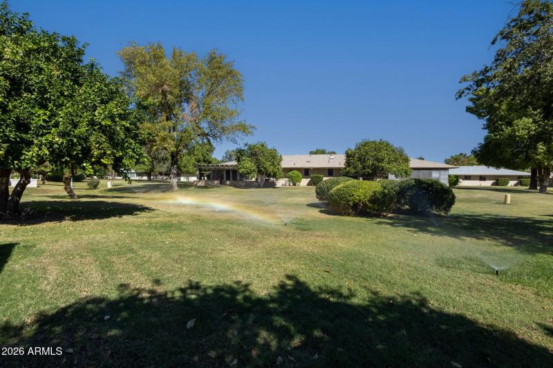 Vommon area-backyard!