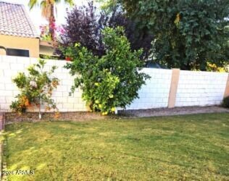 thumbnail_Backyard-4