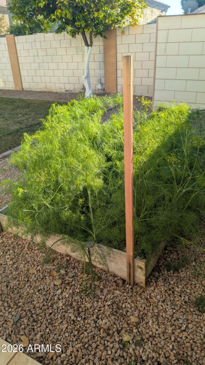 thumbnail_PXL_20260113_225137886