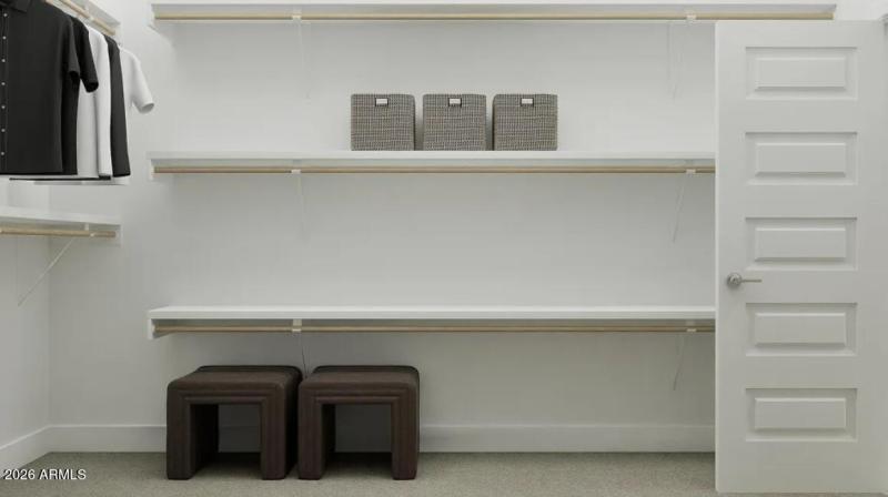 Owners Walk in Closet