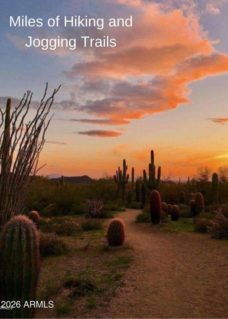 Miles of Hiking and Jogging Trails