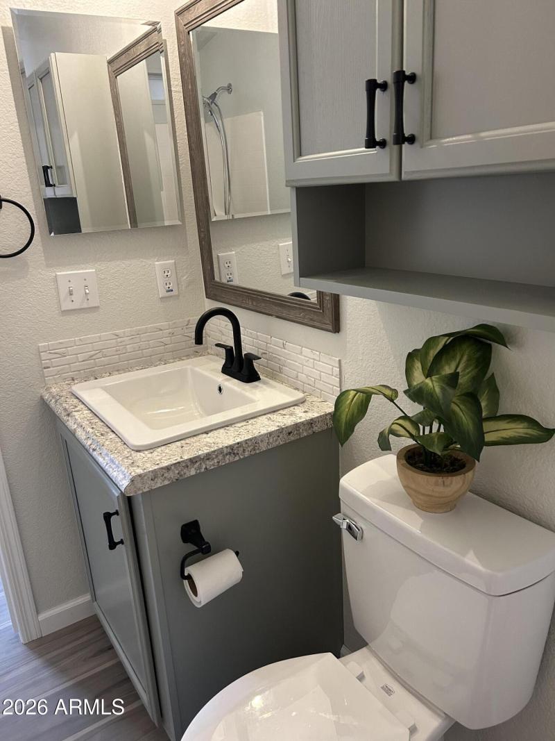 2nd bathroom sink area