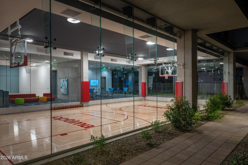 Basketball and Pickleball