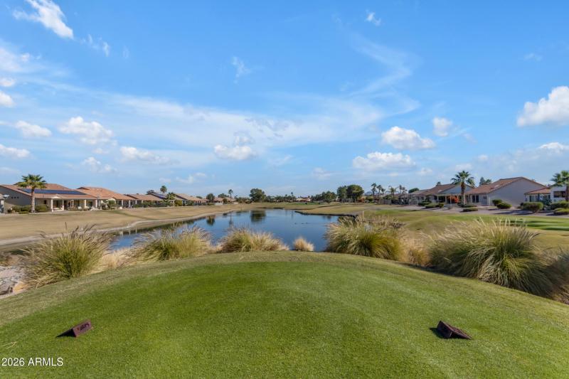 56_001_9333 cedar waxwing (community pho