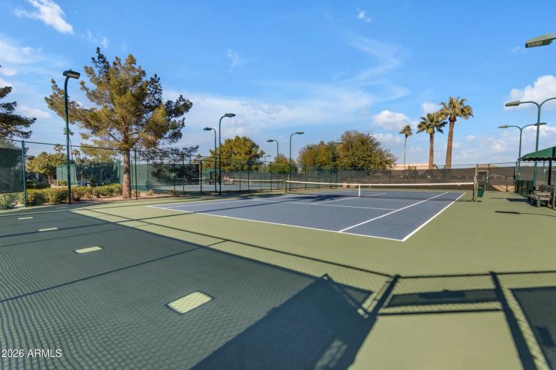 59_004_9333 cedar waxwing (community pho