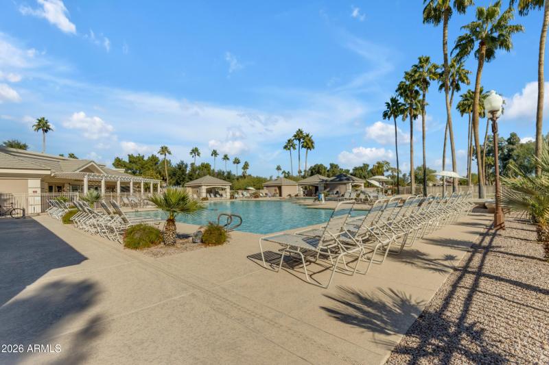 61_010_9333 cedar waxwing (community pho