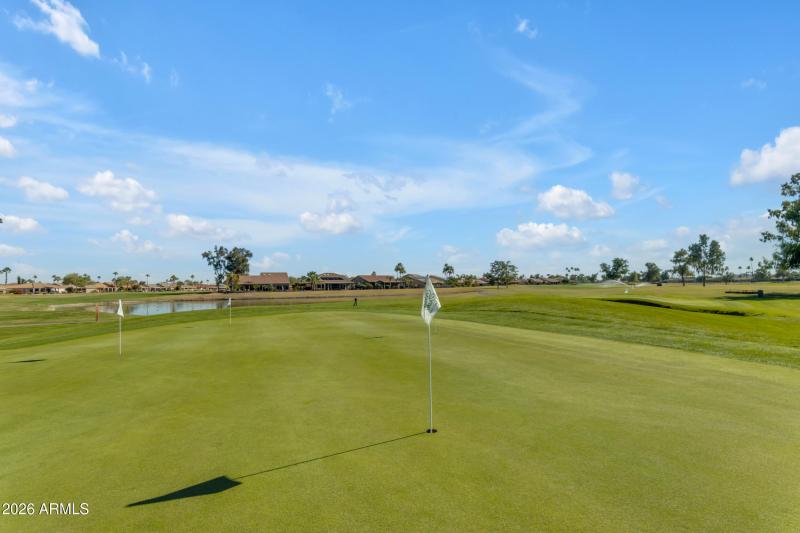 62_013_9333 cedar waxwing (community pho