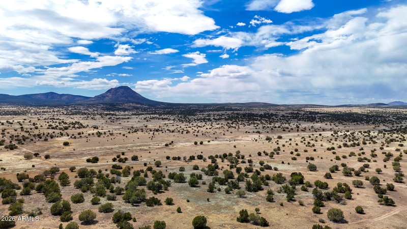 dji_fly_20250530_142900_0037_17487149966