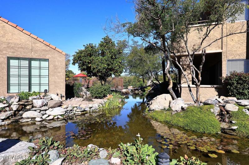 Milano Terrace-Koi Pond