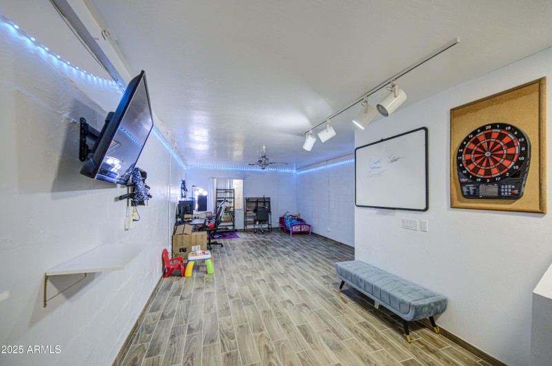 Basement Living Room 1