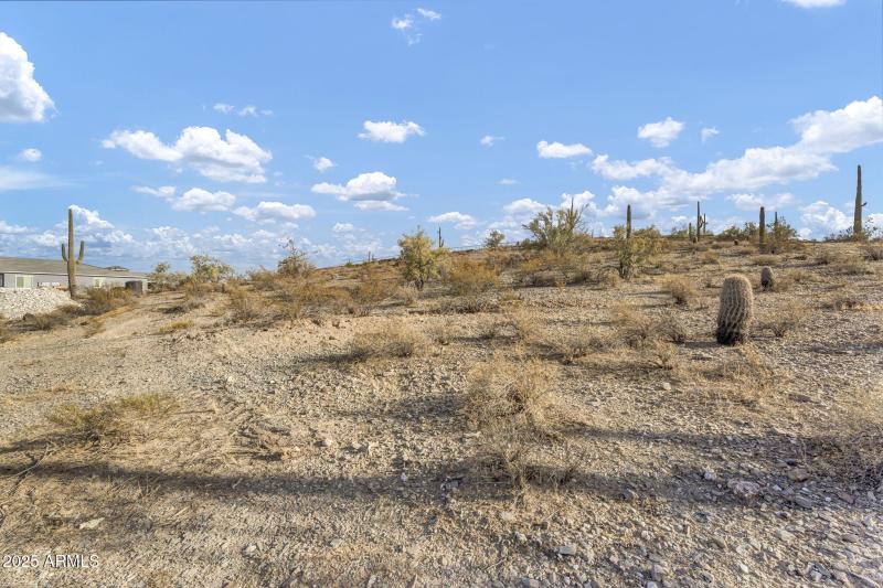 25-web-or-mls-Josiah-10 (2)