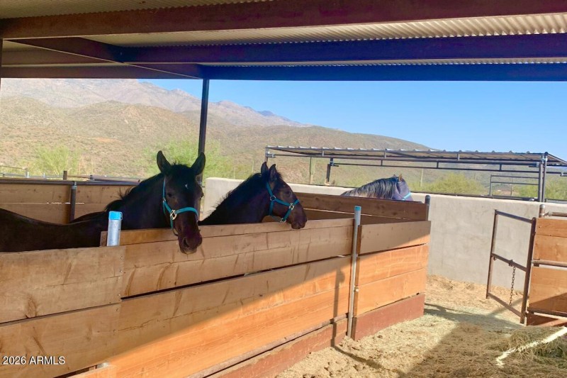 50-print-S April Dr-0601-902