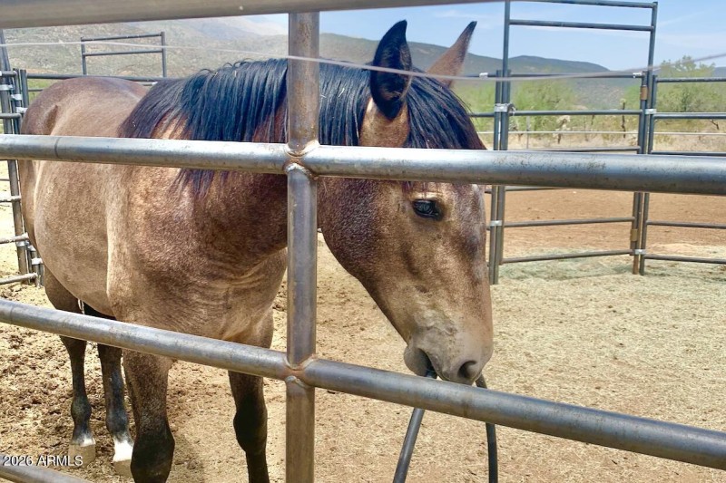 52-print-S April Dr-0601-902