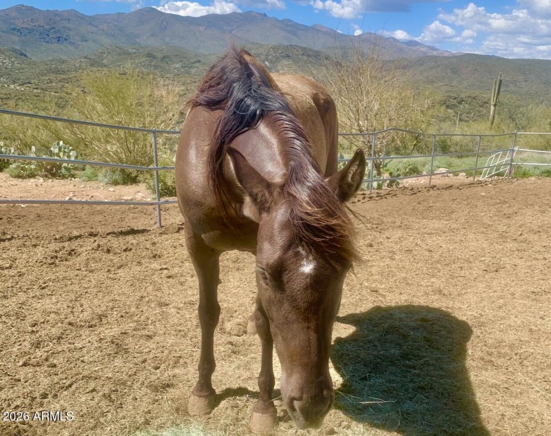 54-print-S April Dr-0601-902