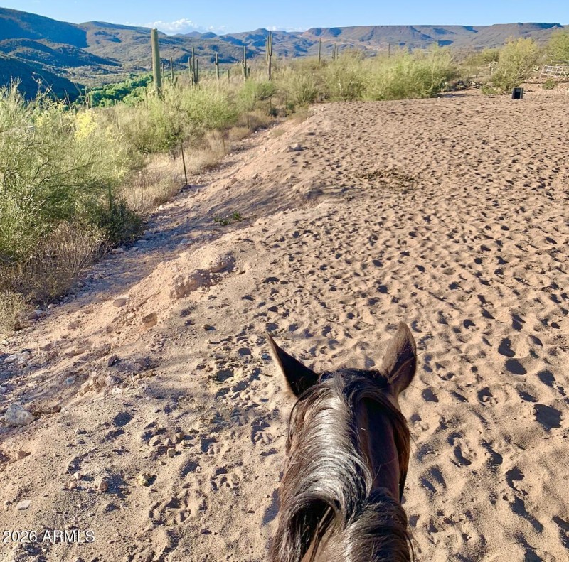 56-print-S April Dr-0601-902