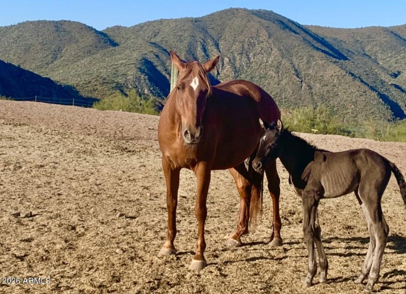 58-print-S April Dr-0601-902