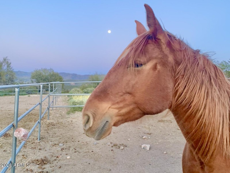 60-print-S April Dr-0601-902