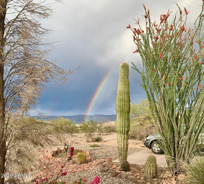 64-print-S April Dr-0601-902