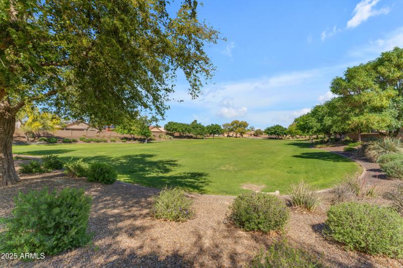 Community Park
