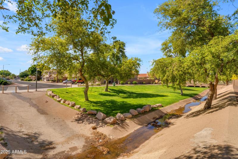 Community Park