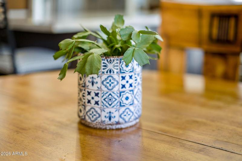 30-web-or-mls-6429 E Clair Dr-30