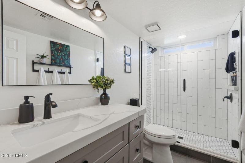 Lower Level Bathroom