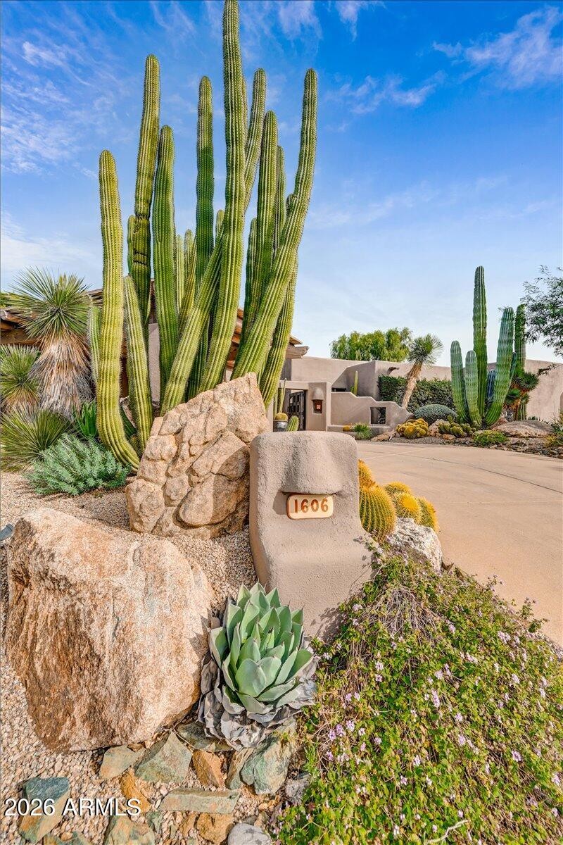 Front Address Detail