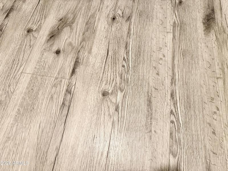 Photo Jan 08 2026, 2 43 24 PM