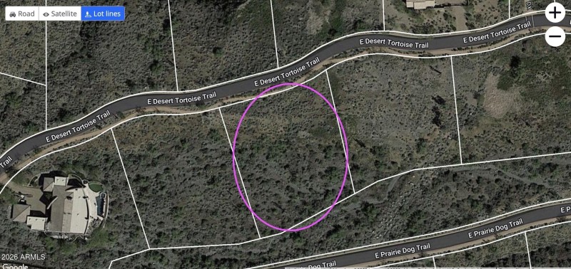 Screen Shot 2022-08-19 at 11.51.56 AM