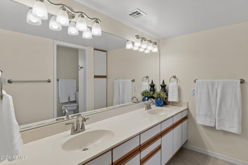 Expansive Vanity in Primary Bath