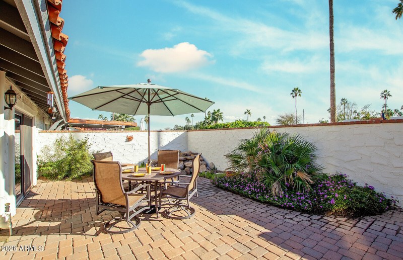 Tall plams all around