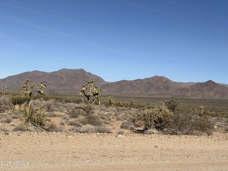 2) 65872-69336b38da1e8