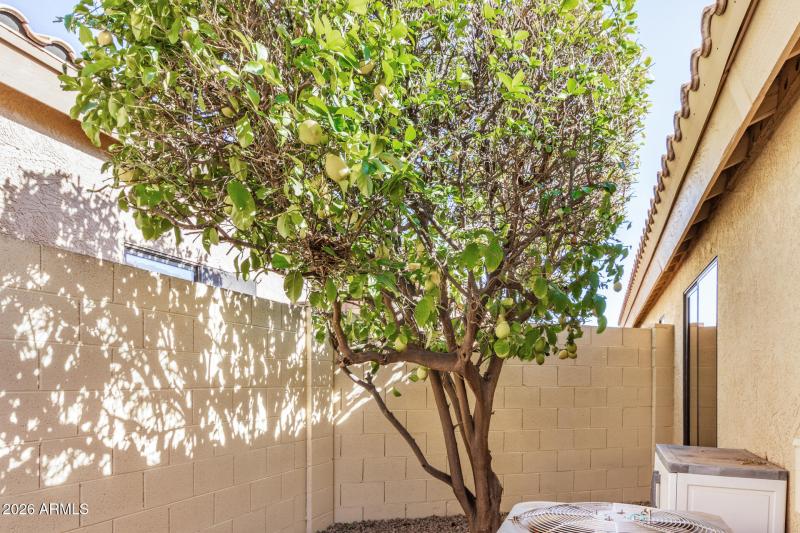 Side Yard Views from Den