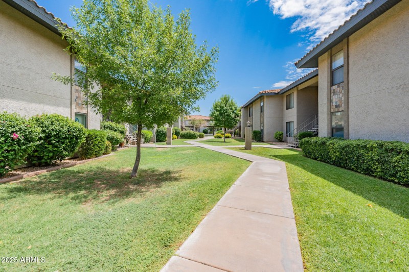 30-web-or-mls-Guadalupe-30