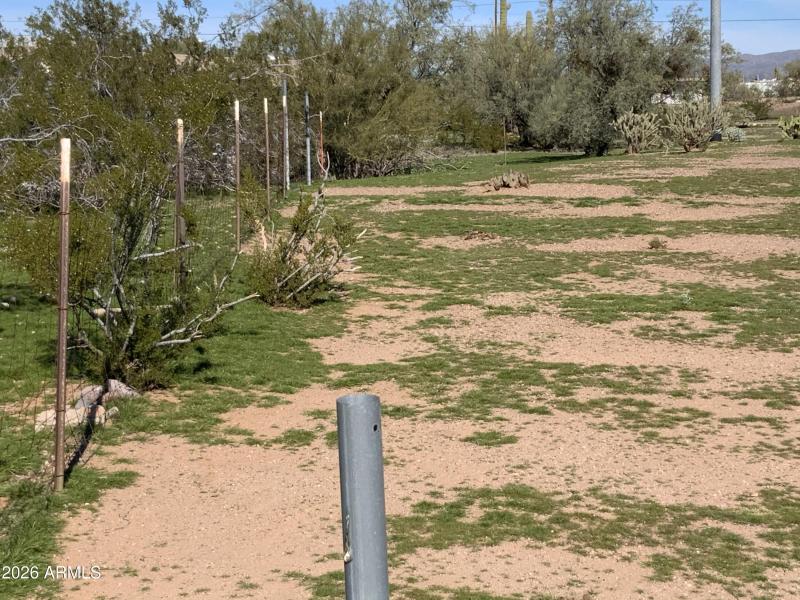 4632B0F4-48A6-41C9-9799-D9B7432FF37C