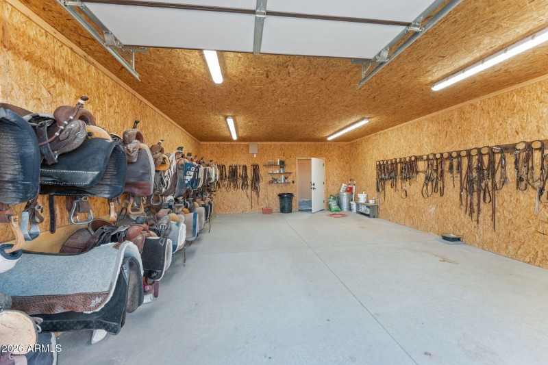 57-web-or-mls-DSC01022