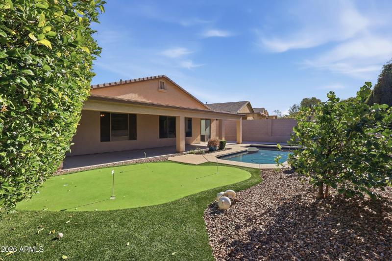 Backyard Putting green