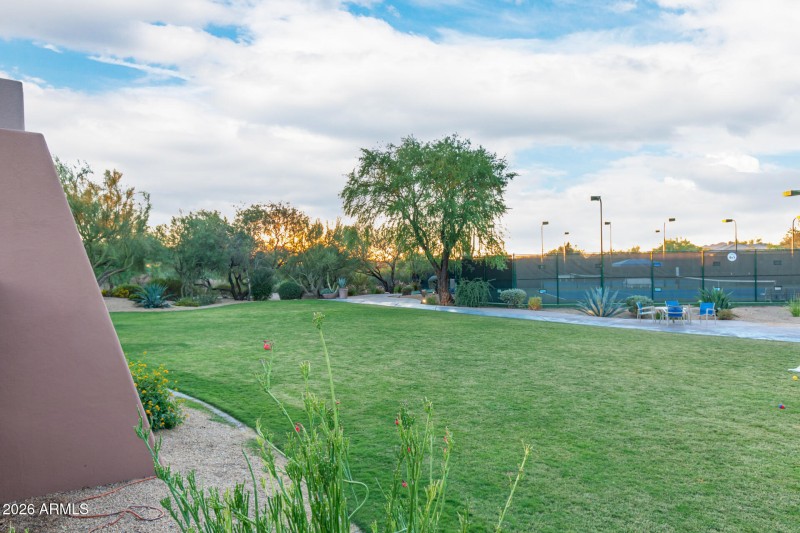 0058-65-Thirsty Cactus