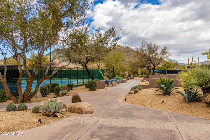 0051-58-Thirsty Cactus