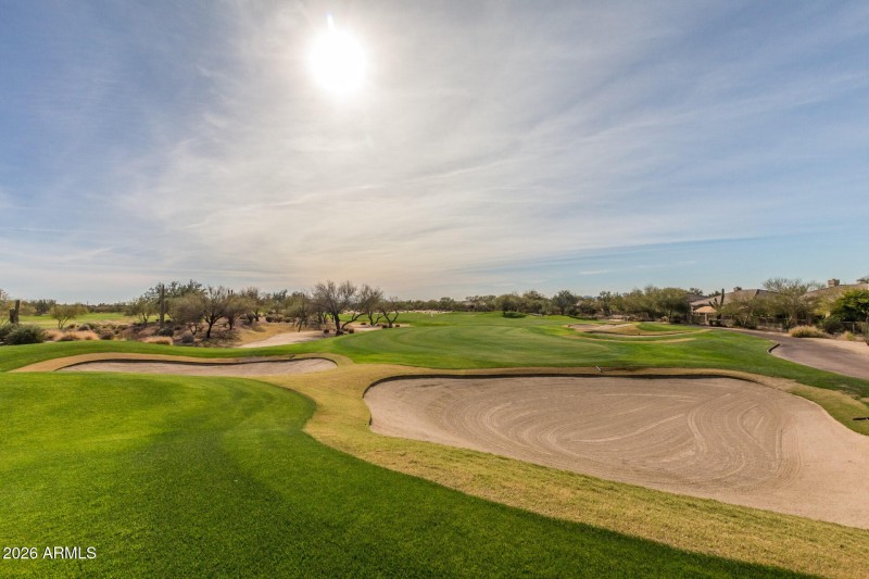 0044-51-Thirsty Cactus