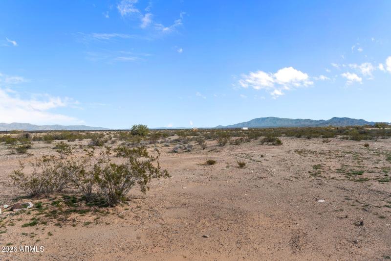 50-web-or-mls-DSC01620