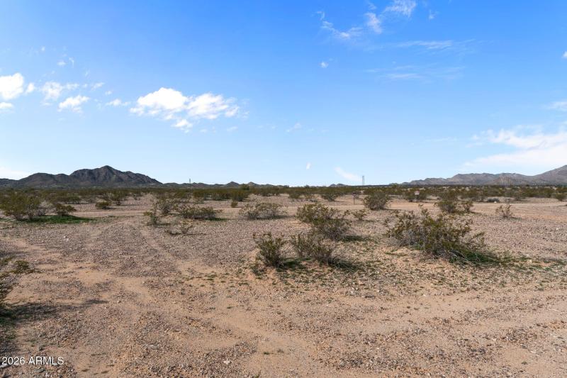 51-web-or-mls-DSC01625