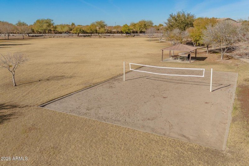 16 - Purple Sage Drone