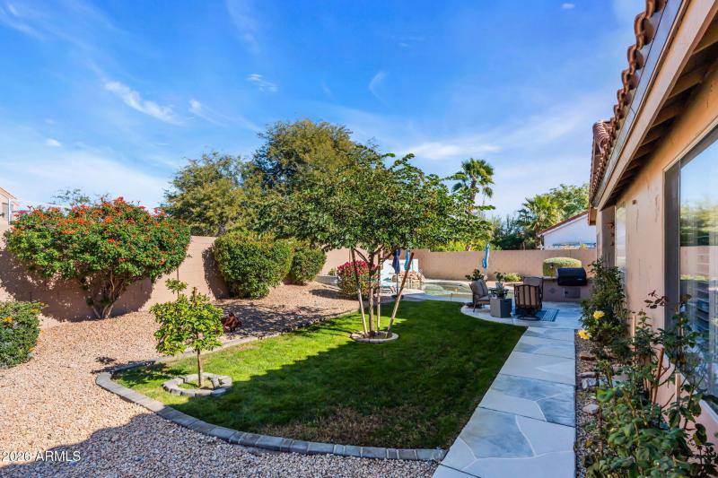 Resort-Style Backyard