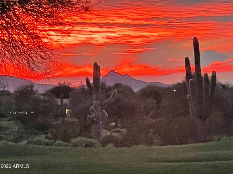 processed-BAD35B53-02E2-4CBE-9801-062191